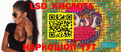 индика Будённовск