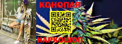 индика Будённовск