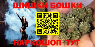 индика Будённовск