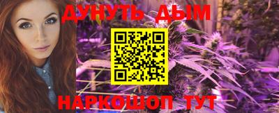 индика Будённовск