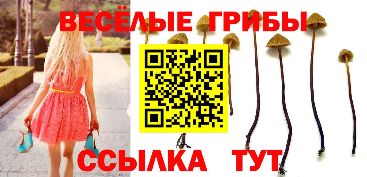 Галлюциногенные грибы Cubensis Киселёвск